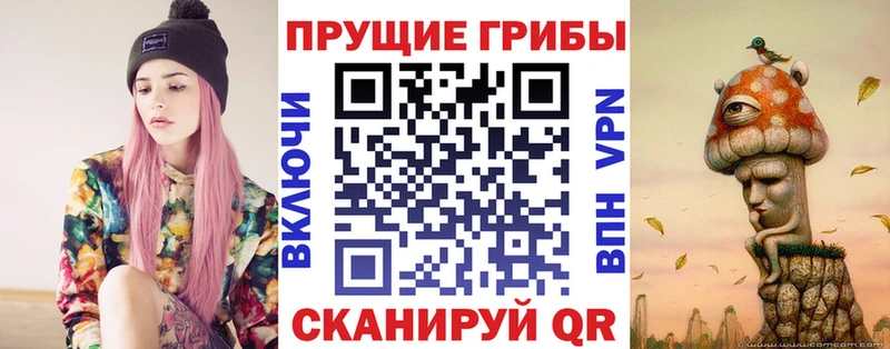 Купить где  Нижняя Тура  Псилоцибиновые грибы Psilocybine cubensis 